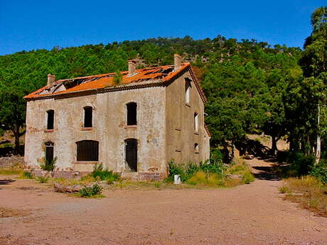Trail : Parcours des maisons forestières