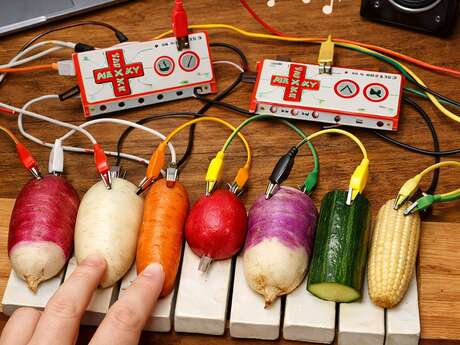 Muséolab “Des sons de Notre-Dame au concert du potager – Le cri du navet” [dès 9 ans]