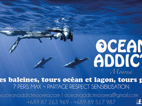 Ocean Addict Moorea - Whale watching tour