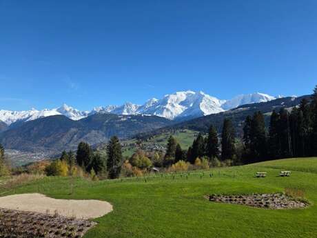 Les Roches du Mont Blanc - Studio Panorama