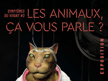 ¿Los animales significan algo para usted?