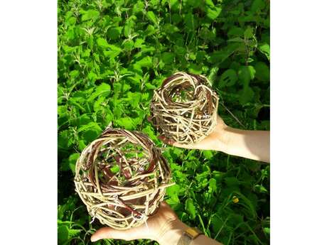 Atelier : vannerie sauvage