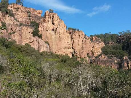 Trail : Trail des Mange Lamberts