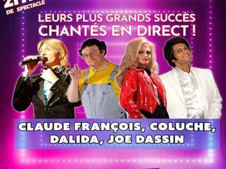 Stars 70' le spectacle