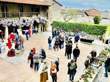 Prends-en d'la graine