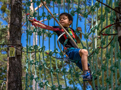 Adventure Forest