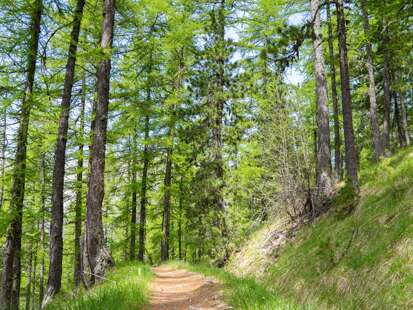 Chemin du garde - Itinéraire de randonnée