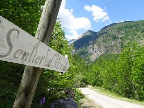 THEMED PATH: Mr Alfred's wood