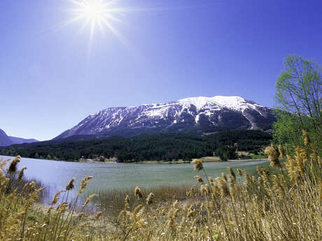 Lac des Sagnes