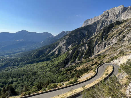 Festival de l'Alpage : À la découverte des plantes du Col du Noyer