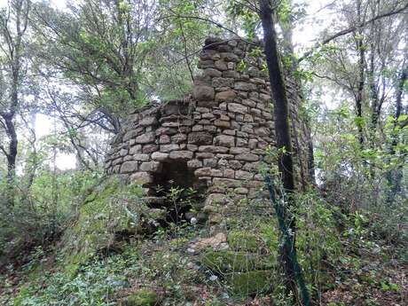 JEP 2025 : "Lire une architecture ruinée, en Cévennes