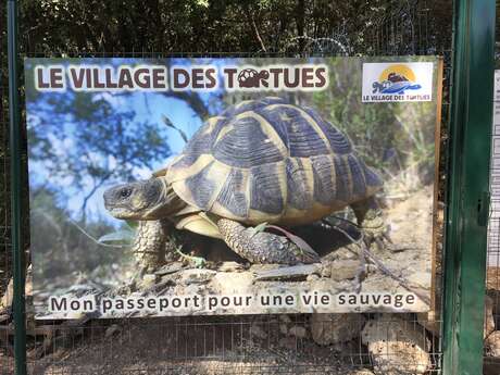 Le Village des Tortues