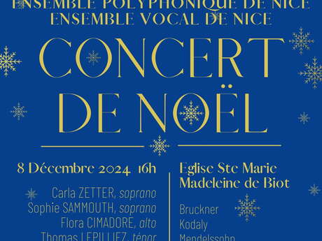 Concerto di Natale