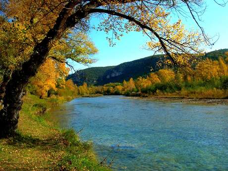 GREOUX-LES-BAINS - Promenade au bord du Verdon