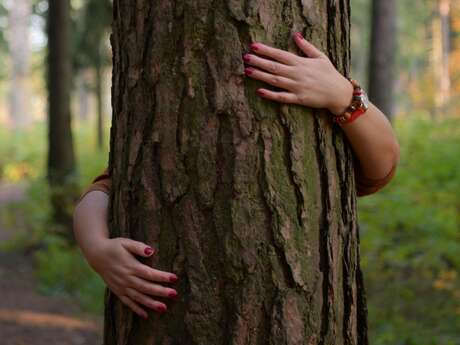 Forez'pirer - Bain de forêt en Livradois-Forez