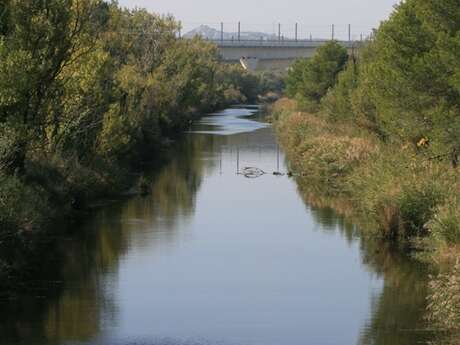 Hiking and cycling outing - Along the banks of the Canal de Vaucluse in Avignon