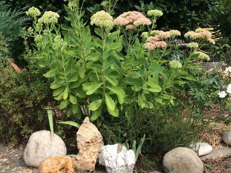 Journées Rendez-vous aux Jardins