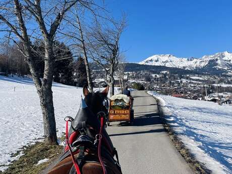 Promenade en calèche et visite des écuries