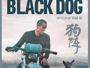 Au cinéma Le Cigalon : BLACK DOG