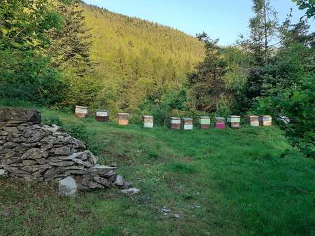 Compagnie des abeilles épicuriennes Didier Maglione