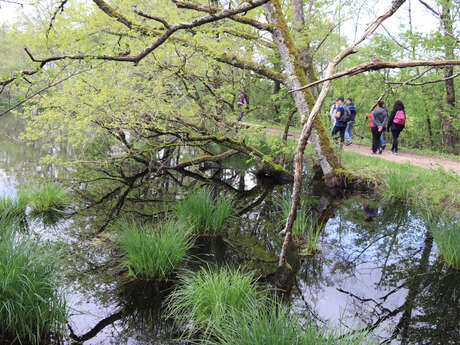 Expérience sensorielle au marais de Bizadan