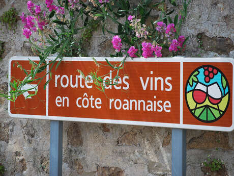 Route des Vins Forez-Roannais en Loire Volcanique (Côte Roannaise)