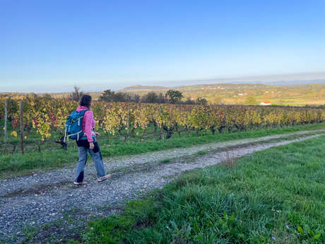 Marche solidaire organisée par Emmaüs