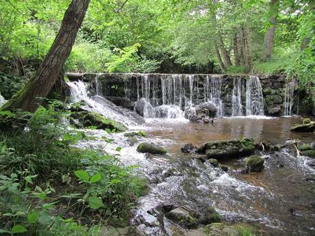 Cascade du Breuil