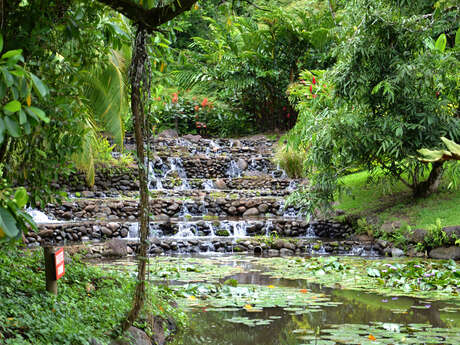 Jardins D'eau De Vaipahi