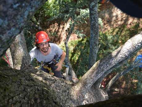 Découverte Grimpe d'arbres, avec Haut Perché