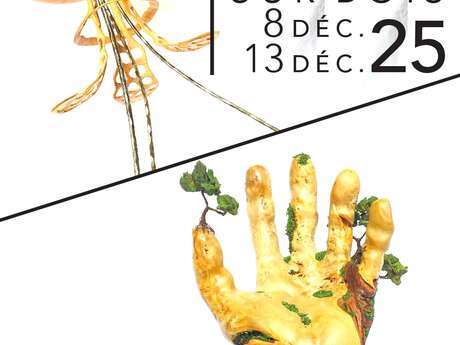 Exposition Ludovic Bourgeois