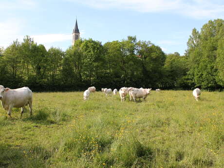 GAEC  du Haut du Village