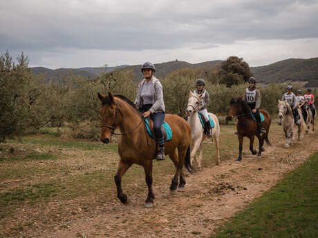 Concours officiel Derby au centre équestre la Fenière aux Mées