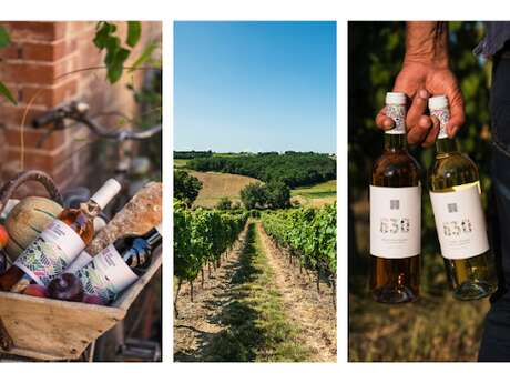 Portes ouvertes à la cave des vignerons du Quercy