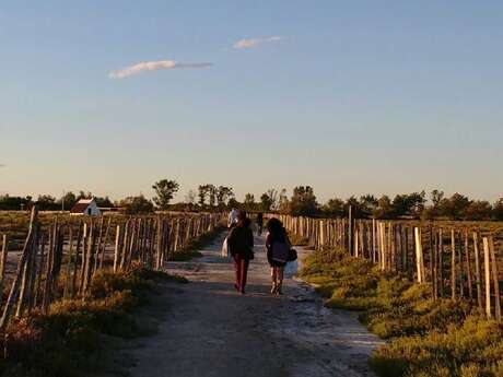 Visite guidée du sentier du Mas du Pont de Rousty
