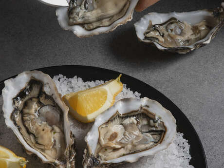 Oyster aperitif - Domitys Residence