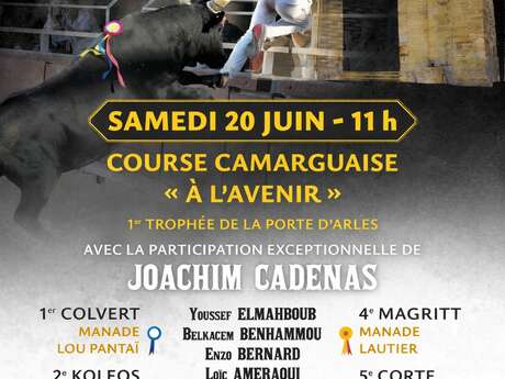 Course camarguaise « À l'avenir »