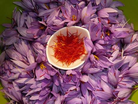 The Limonet simple garden