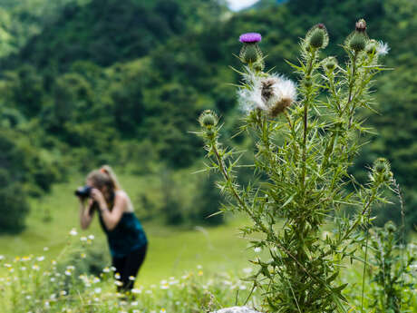 Atelier photo
