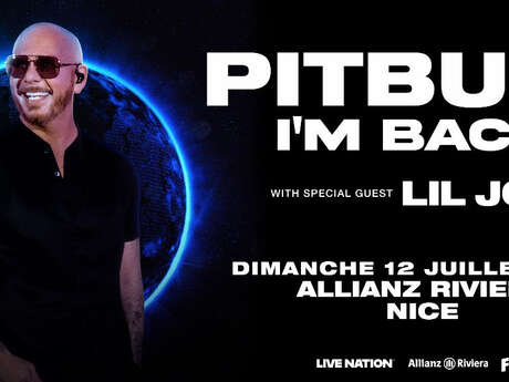 Pitbull - I'm back