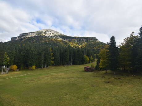 Webcam depuis le Col de Porte - Chartreuse