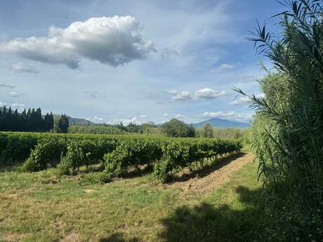 Balade pédestre au Domaine du Vas