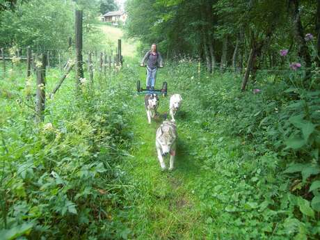 Initiation au mushing dans la vallée du Haut Bréda