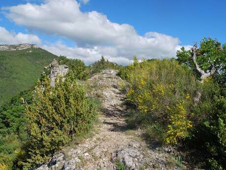 La Crête de Fontarache