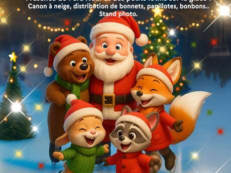 Après-midi de Noël à l'Alp'aréna