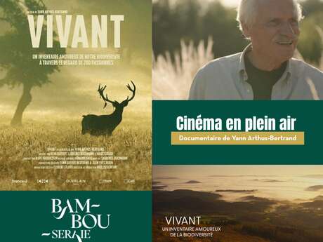 Cinéma en plein air à la Bambouseraie en Cévennes