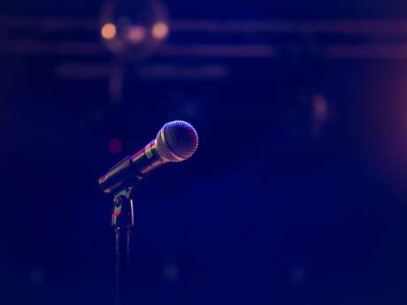 Karaoke at the Green Monkey Pub