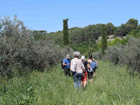 Les randos gourmandes - Huile d'olive