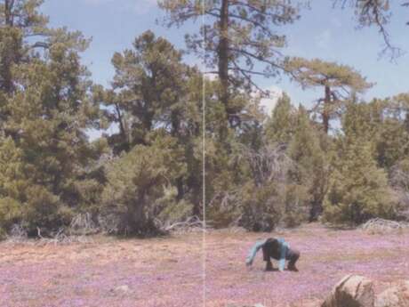 Yu-Hsuan Chiu, le journal du PCT II