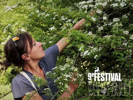 Festival de l'Alpage : Sortie ethnobotanique à la découverte des plantes médicinales du Valgaudemar